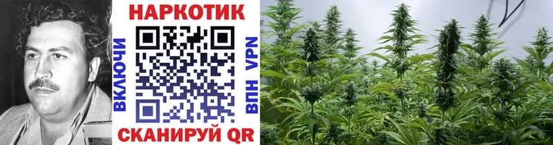 Где продают наркотики Сорочинск Амфетамин  Бутират  Вейп ТГК  Мефедрон  ГАШИШ  Канабис  КОКАИН  СОЛЬ 