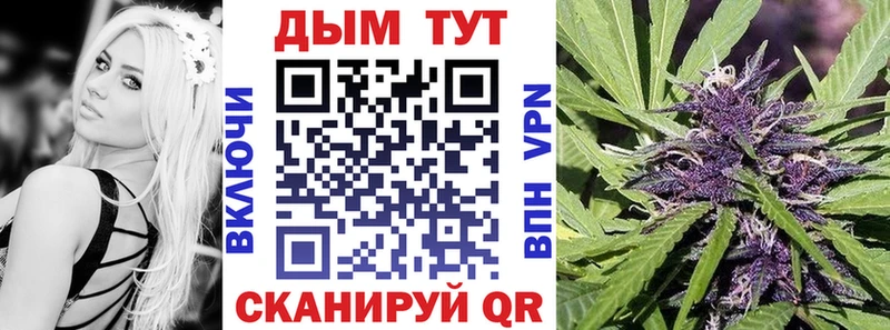 Шишки марихуана планчик гидра зеркало Сорочинск